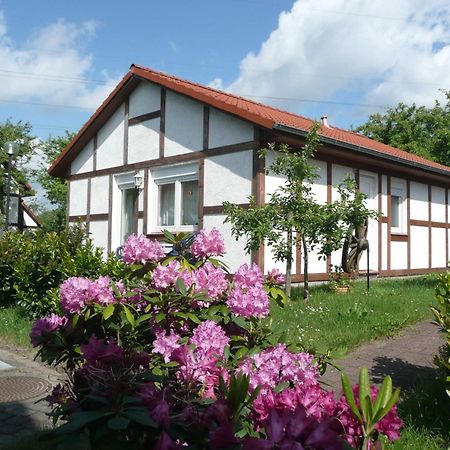 Ferienhaus Kogge Im Feriendorf Alt Bachenbrock Exteriör bild