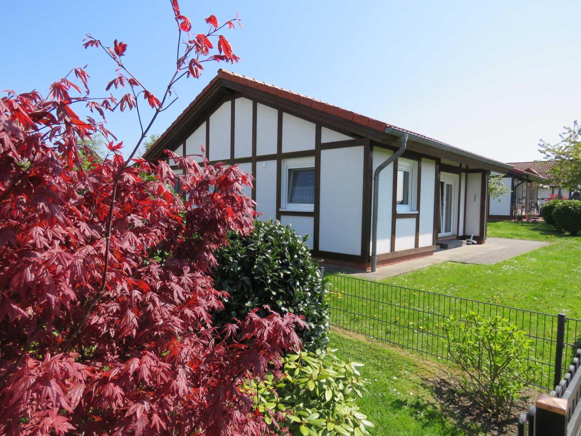 Ferienhaus Kogge Im Feriendorf Alt Bachenbrock Exteriör bild